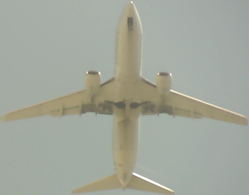 Airplane Picture
