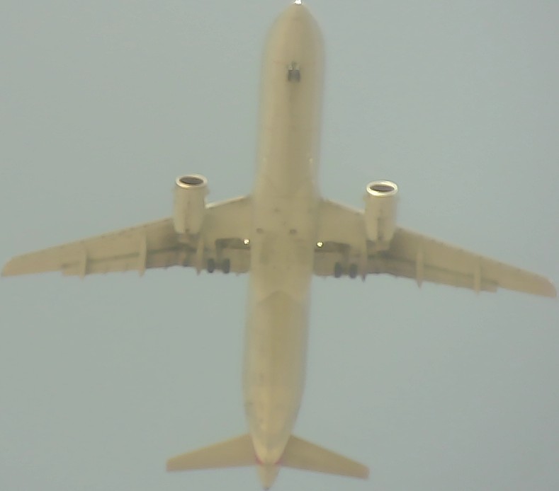 Airplane Picture