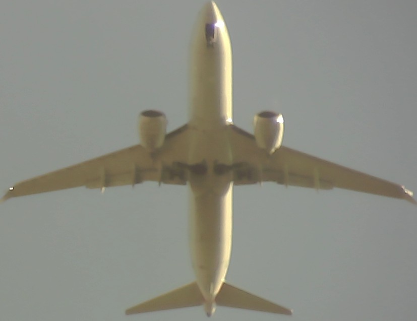 Airplane Picture
