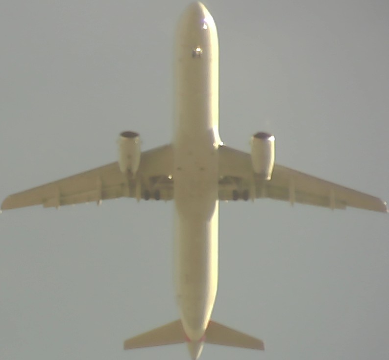 Airplane Picture