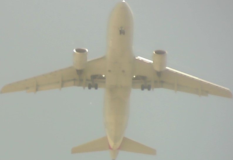 Airplane Picture