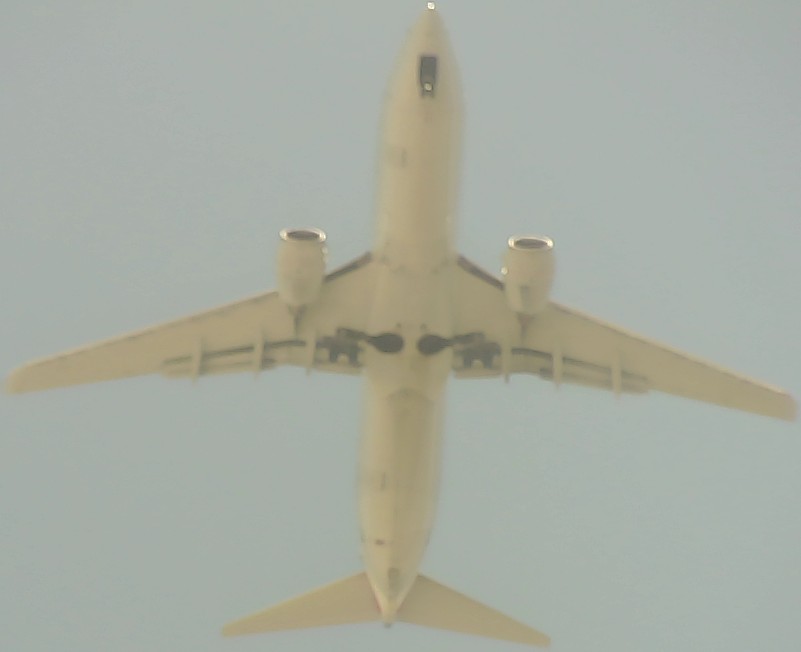 Airplane Picture