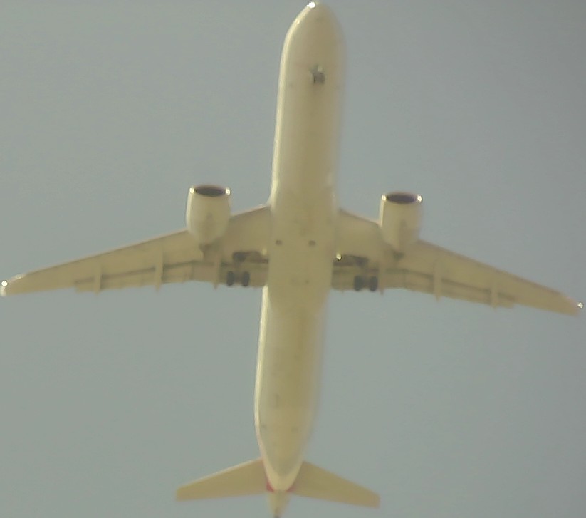 Airplane Picture