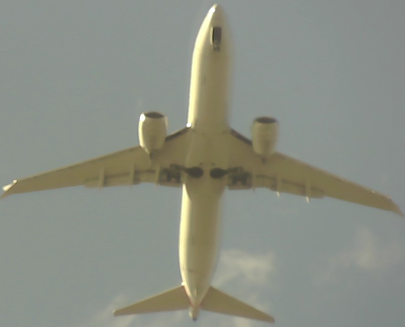 Airplane Picture