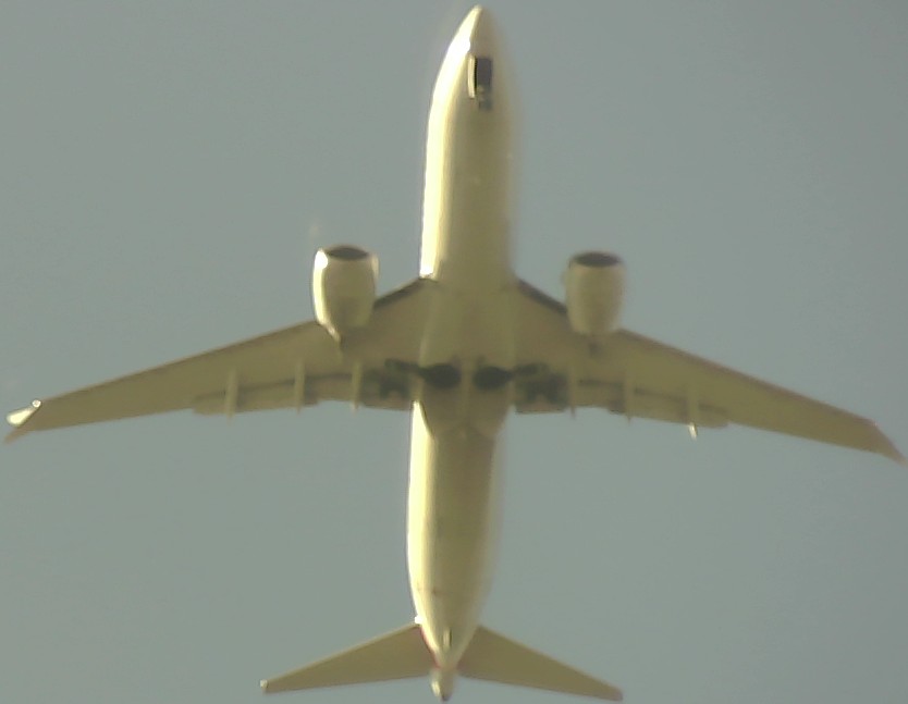 Airplane Picture