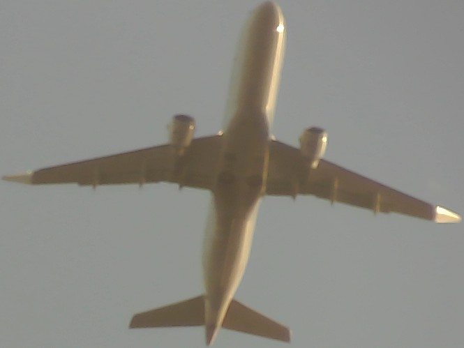 Airplane Picture