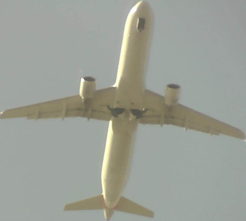 Airplane Picture