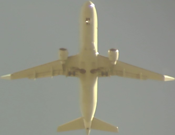 Airplane Picture