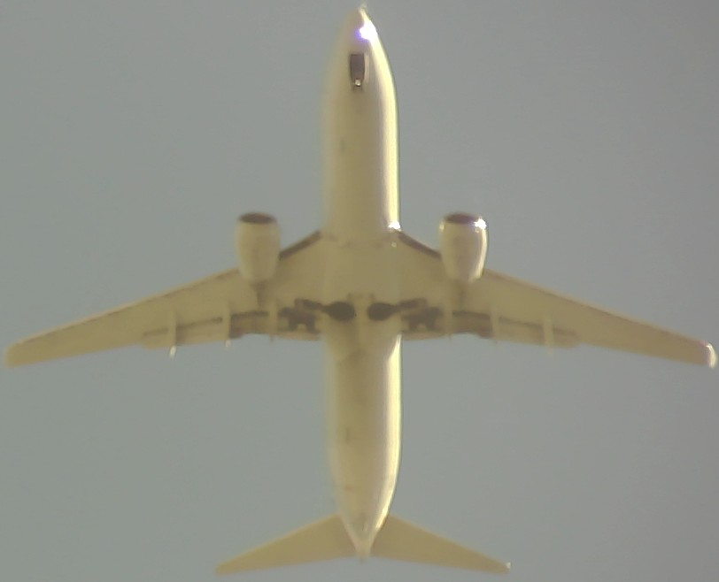 Airplane Picture