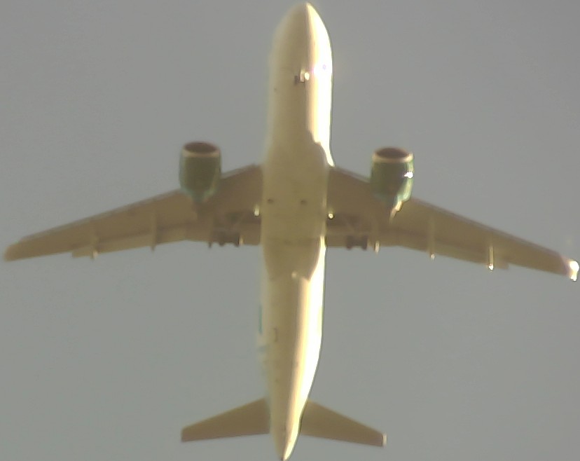 Airplane Picture
