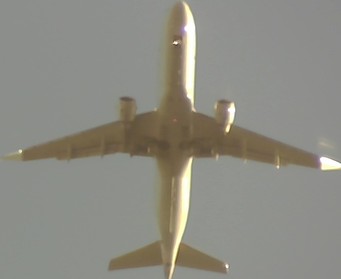 Airplane Picture