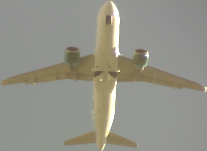 Airplane Picture
