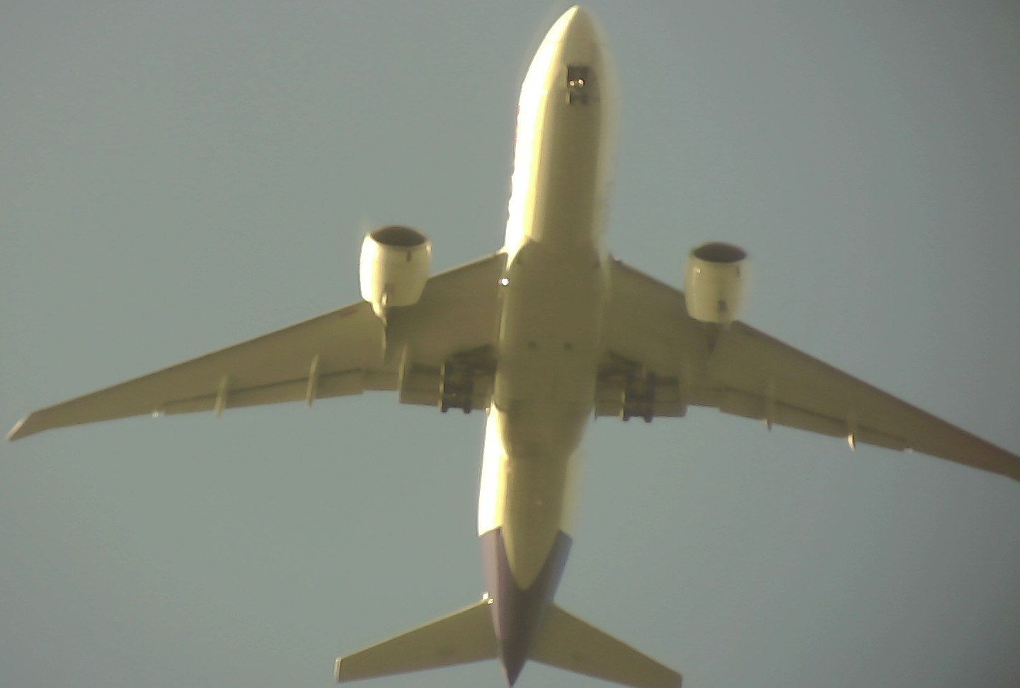 Airplane Picture