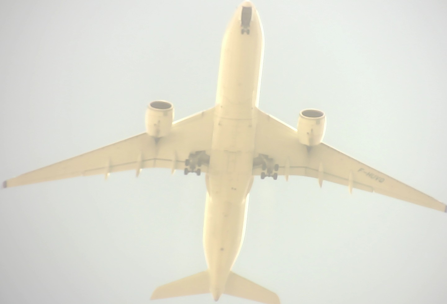 Airplane Picture