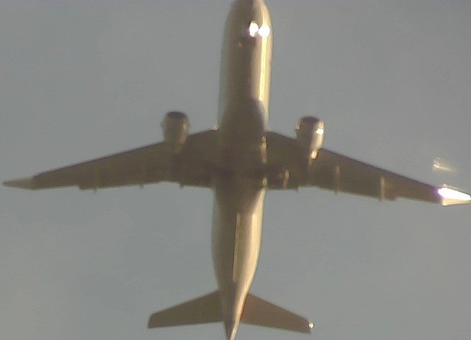 Airplane Picture