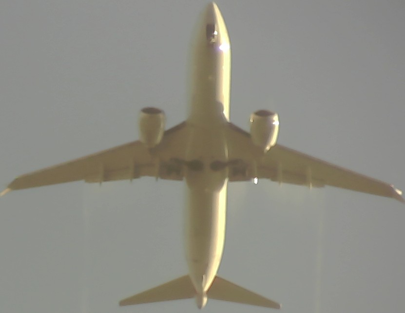 Airplane Picture