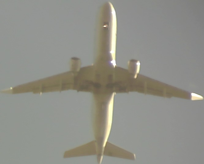Airplane Picture