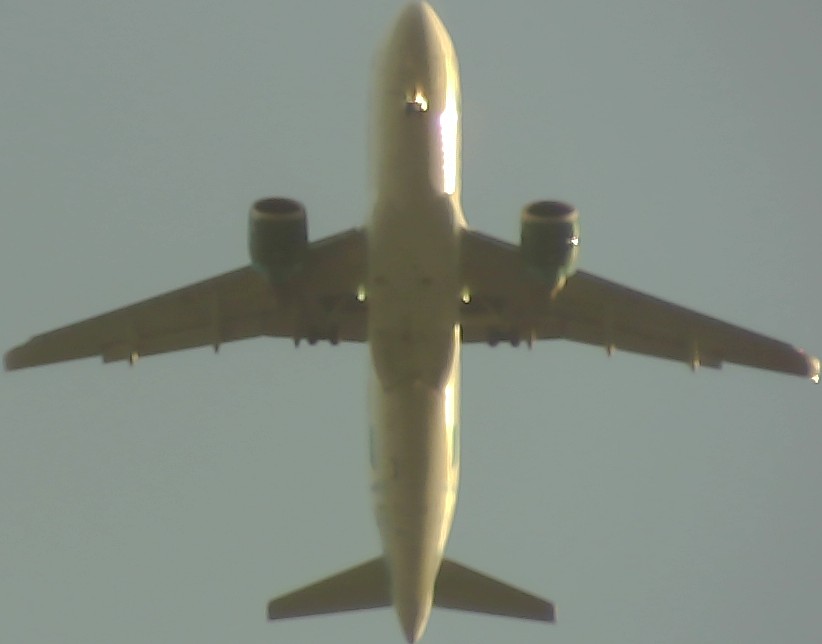 Airplane Picture