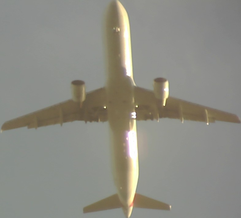 Airplane Picture