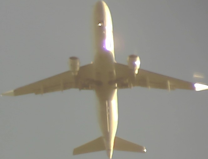 Airplane Picture