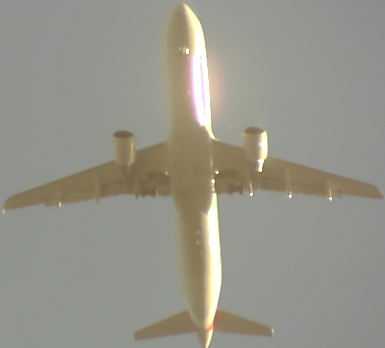 Airplane Picture