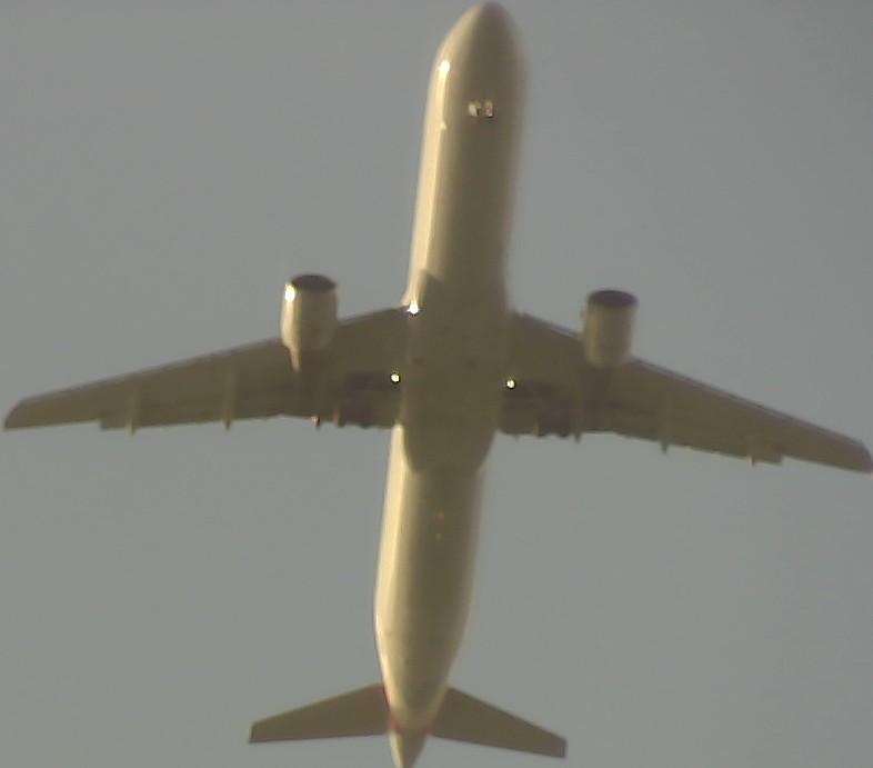 Airplane Picture