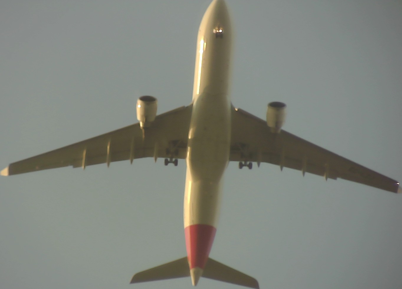 Airplane Picture