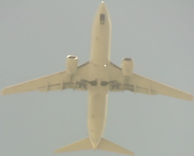 Airplane Picture