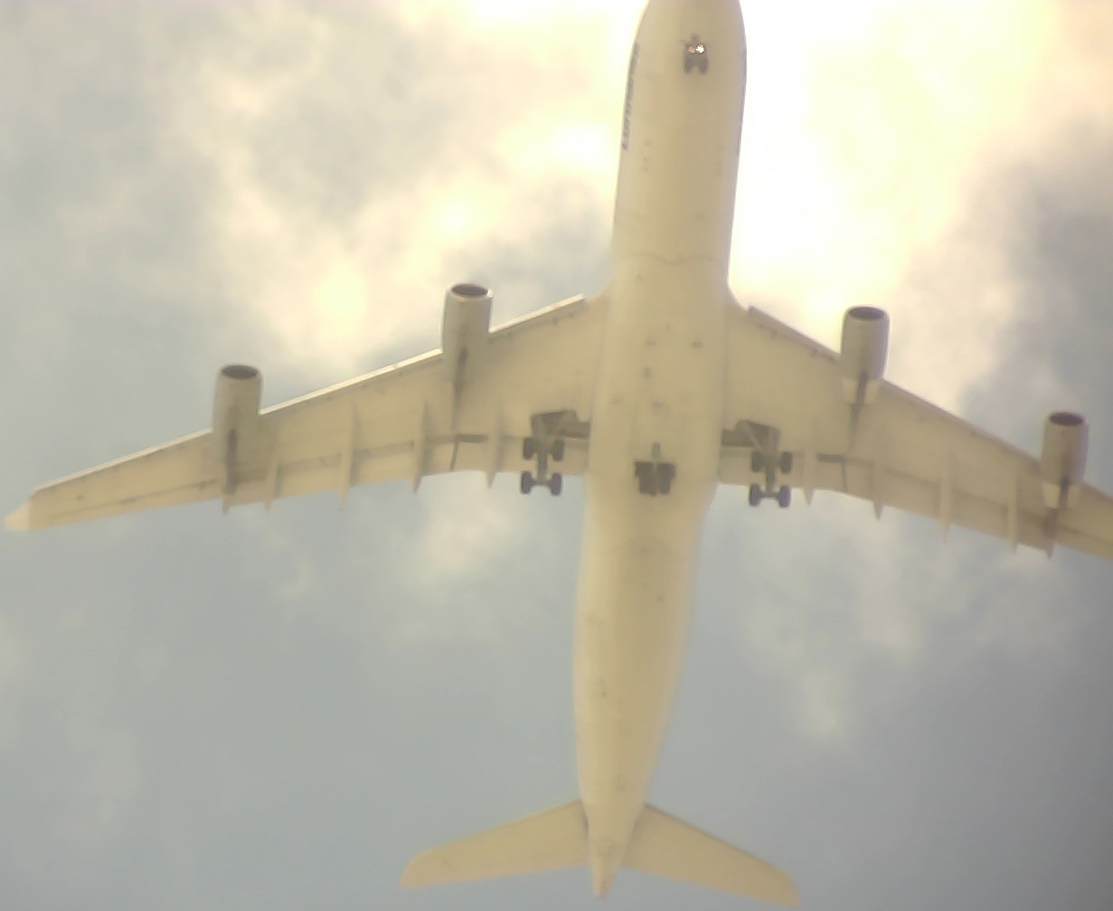 Airplane Picture