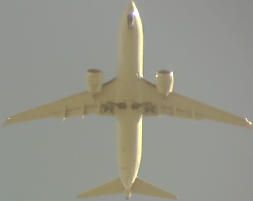 Airplane Picture