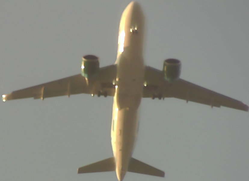 Airplane Picture