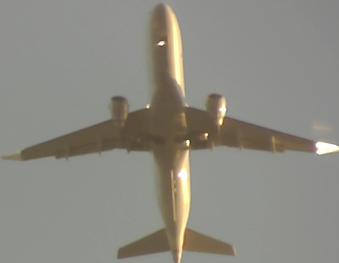 Airplane Picture
