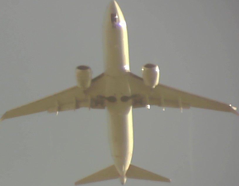 Airplane Picture