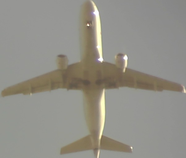 Airplane Picture