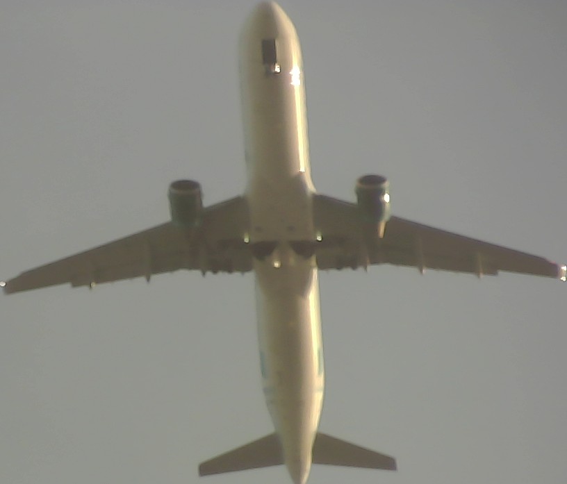 Airplane Picture