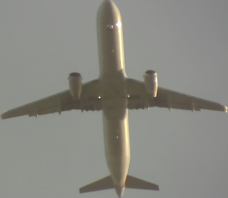 Airplane Picture