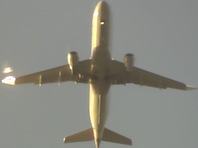 Airplane Picture