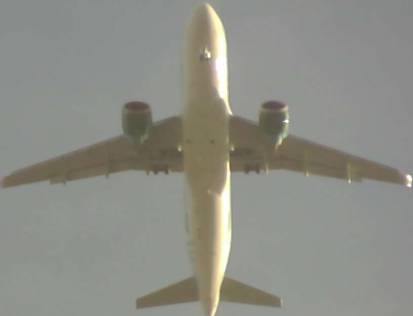 Airplane Picture