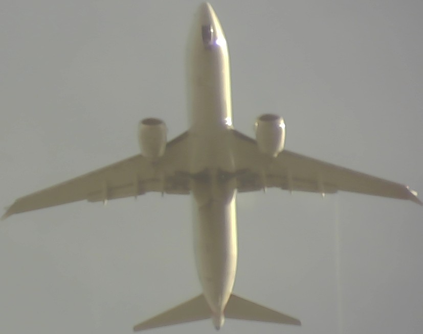 Airplane Picture