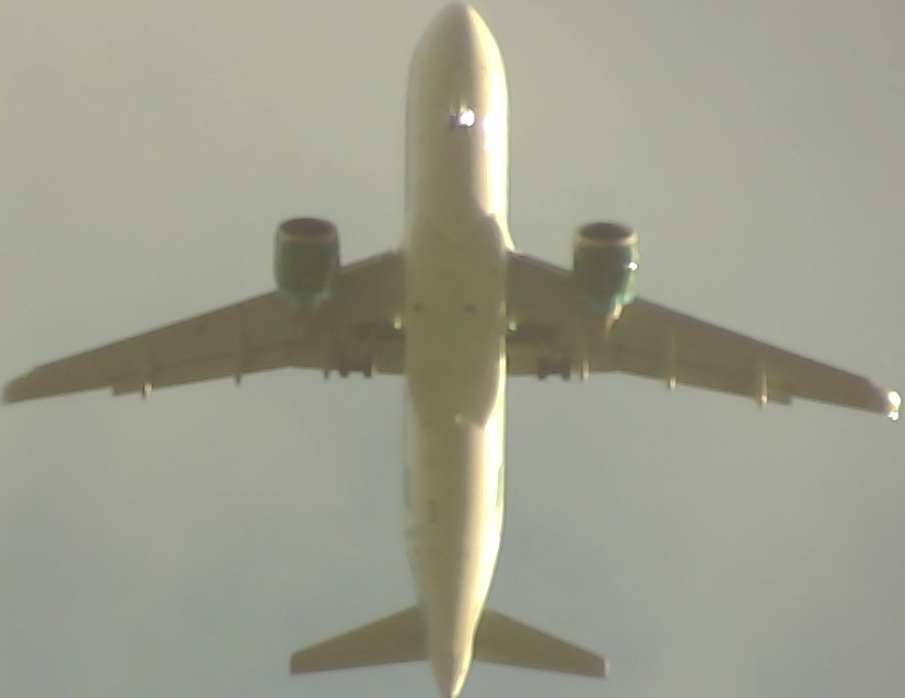 Airplane Picture