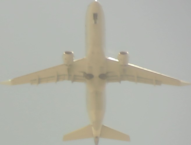 Airplane Picture