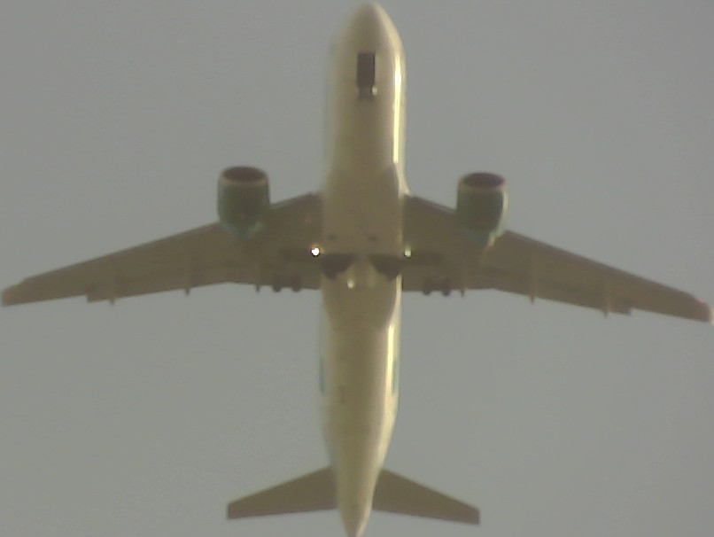 Airplane Picture