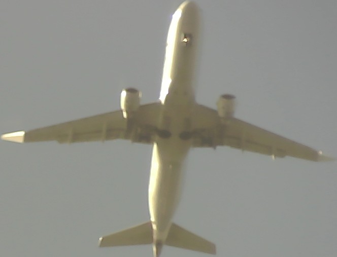 Airplane Picture