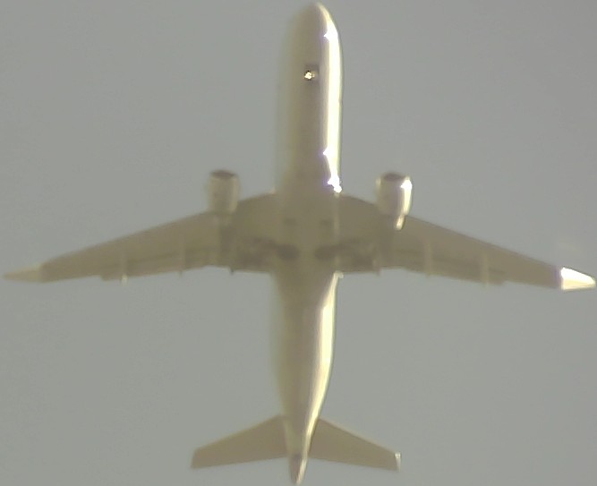 Airplane Picture