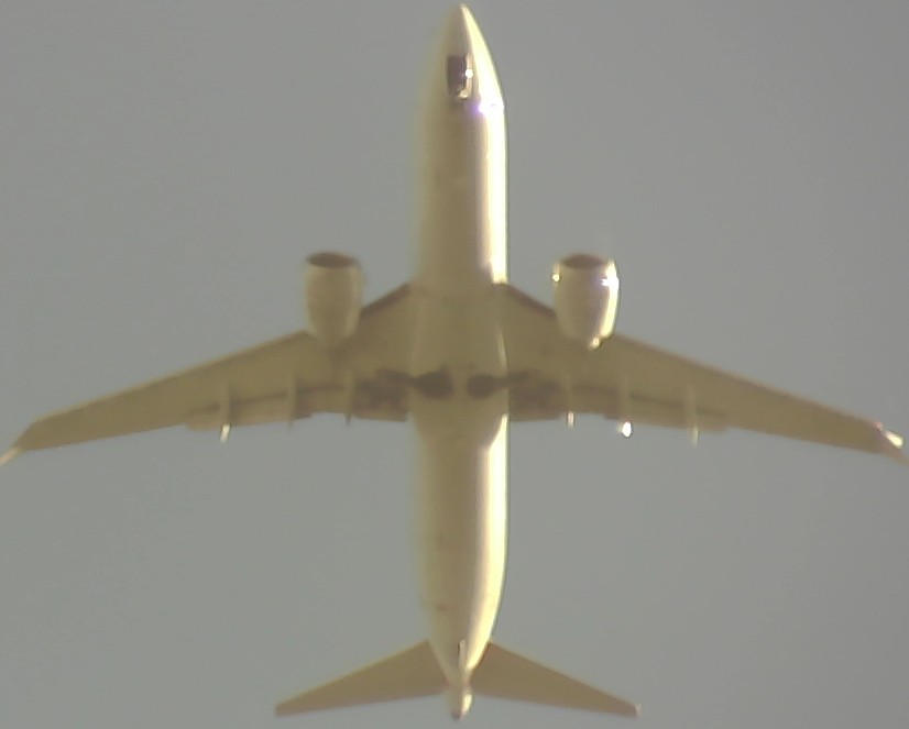 Airplane Picture