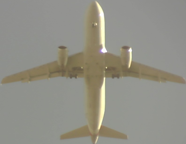 Airplane Picture