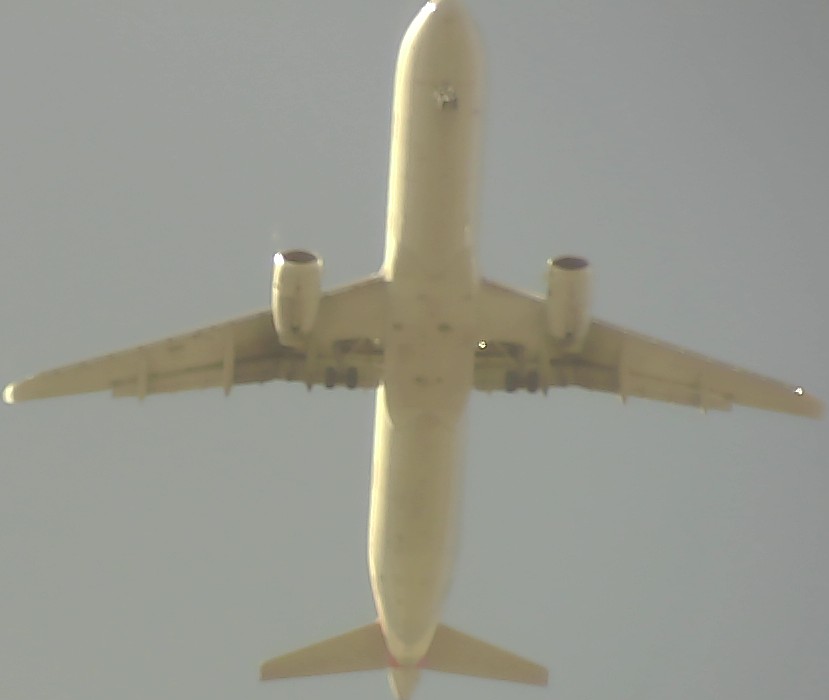 Airplane Picture