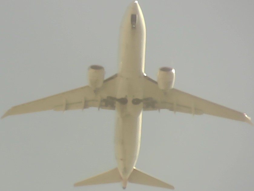 Airplane Picture