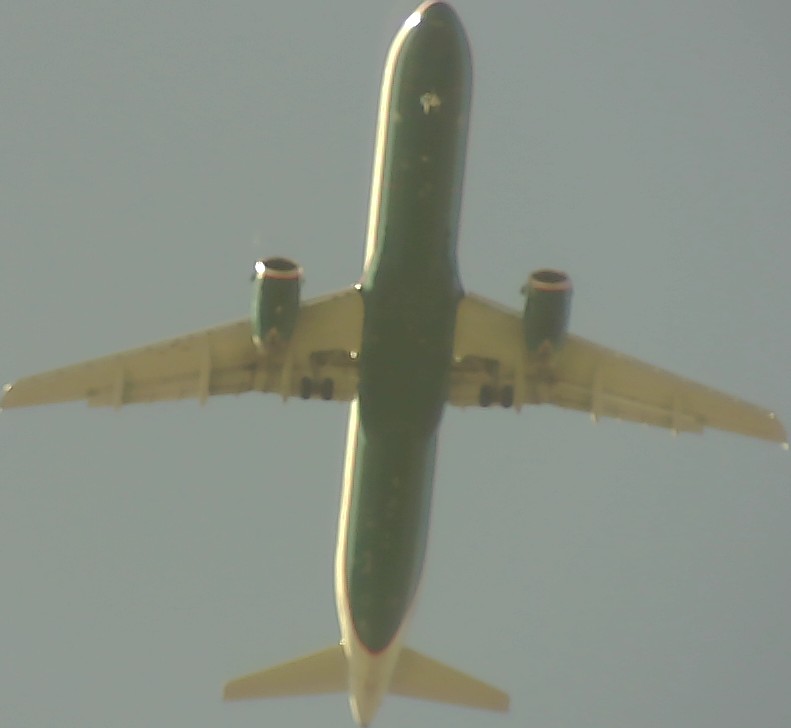 Airplane Picture