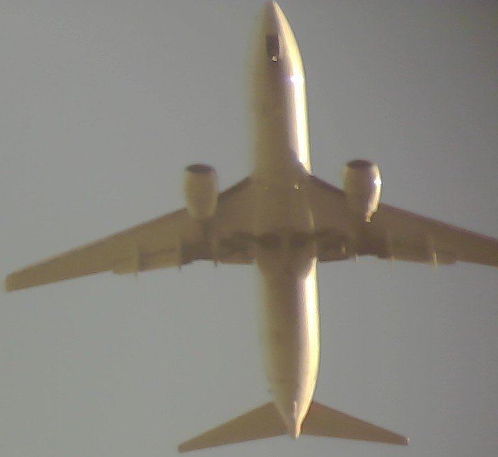 Airplane Picture